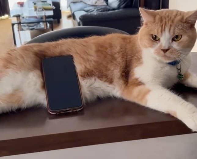 出所：@sorakai0905