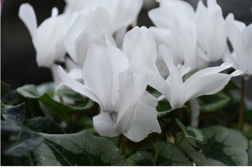 undefined undefined/istockphoto.com