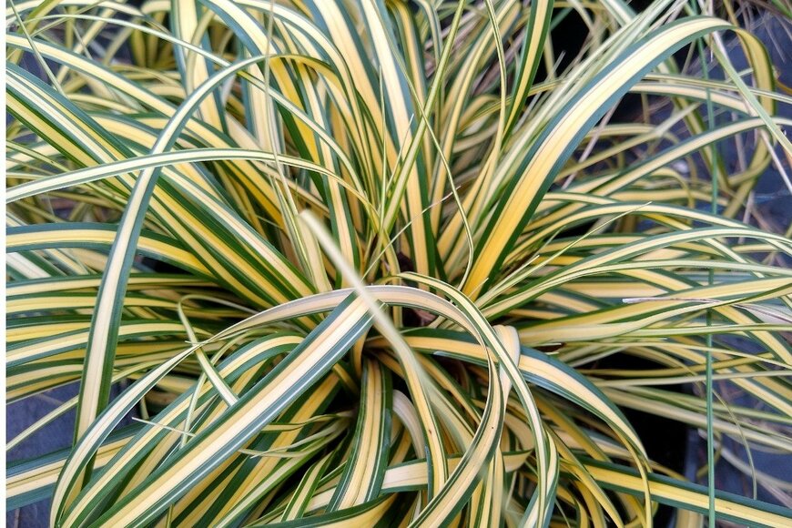 John Caley/istockphoto.com