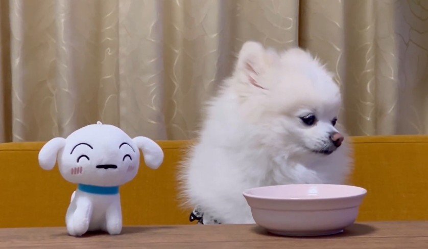 出所：@boku_ponchan