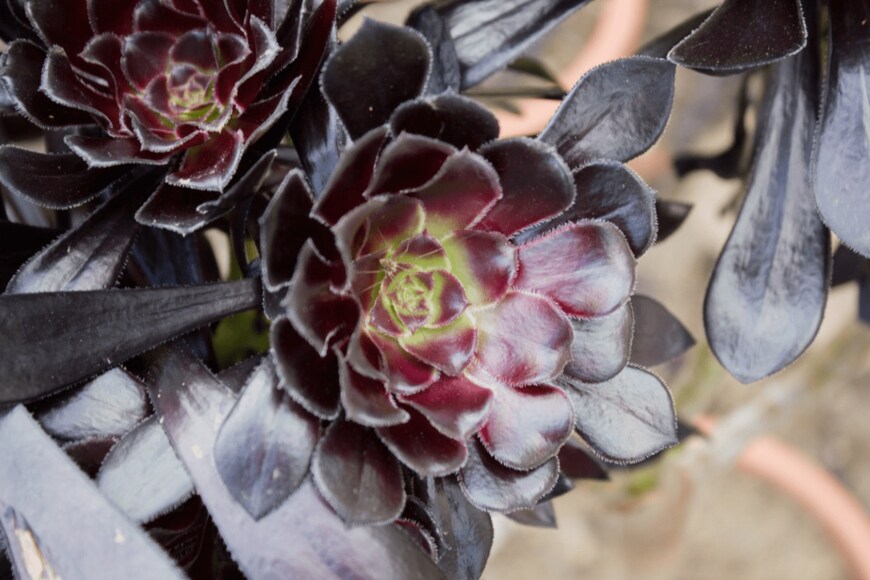 Inahwen/istockphoto.com