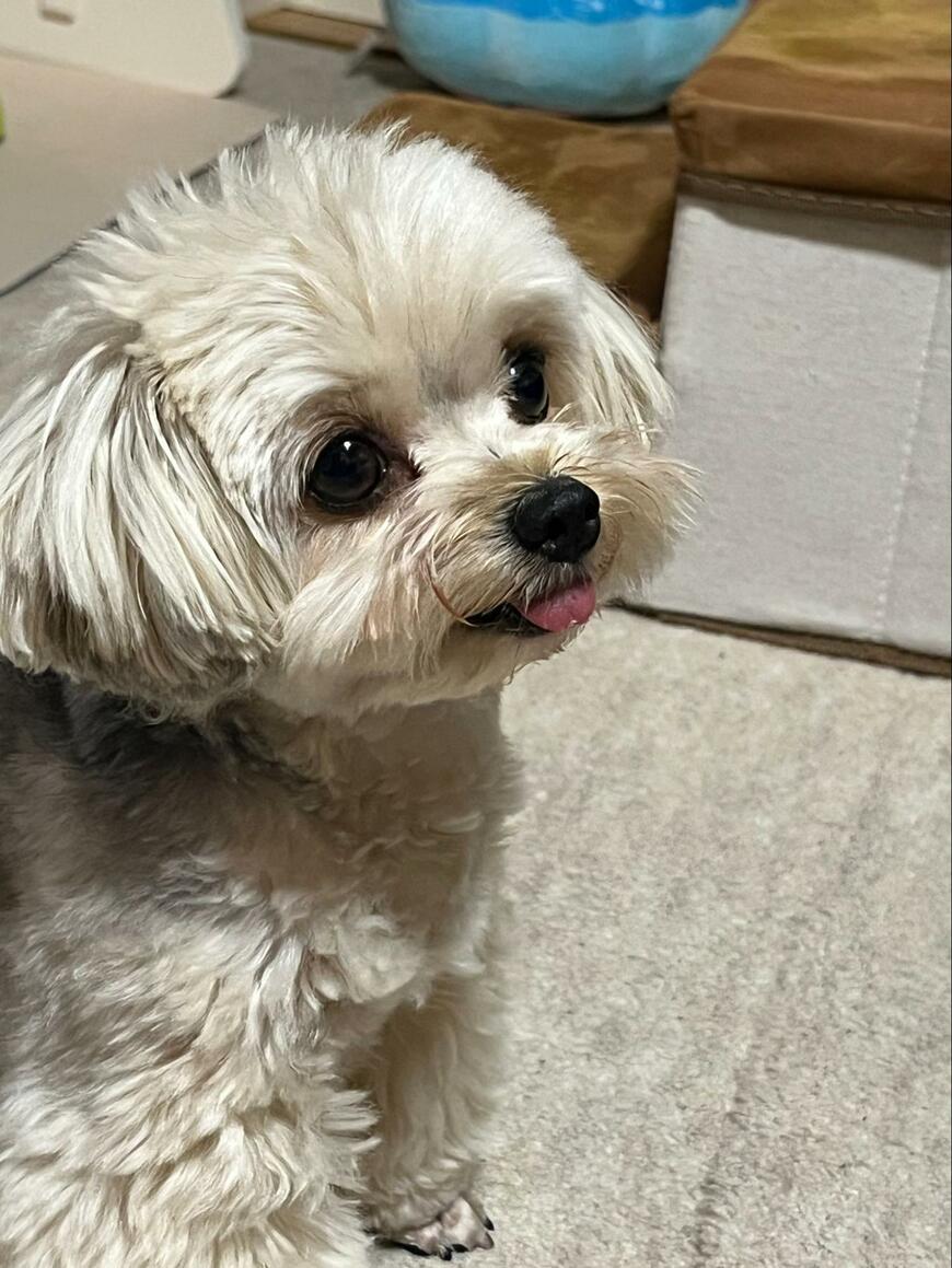 出所：@potage_0924