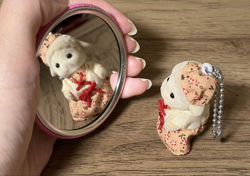 筆者撮影（セリア、42333 缶バッジ風ミラー）