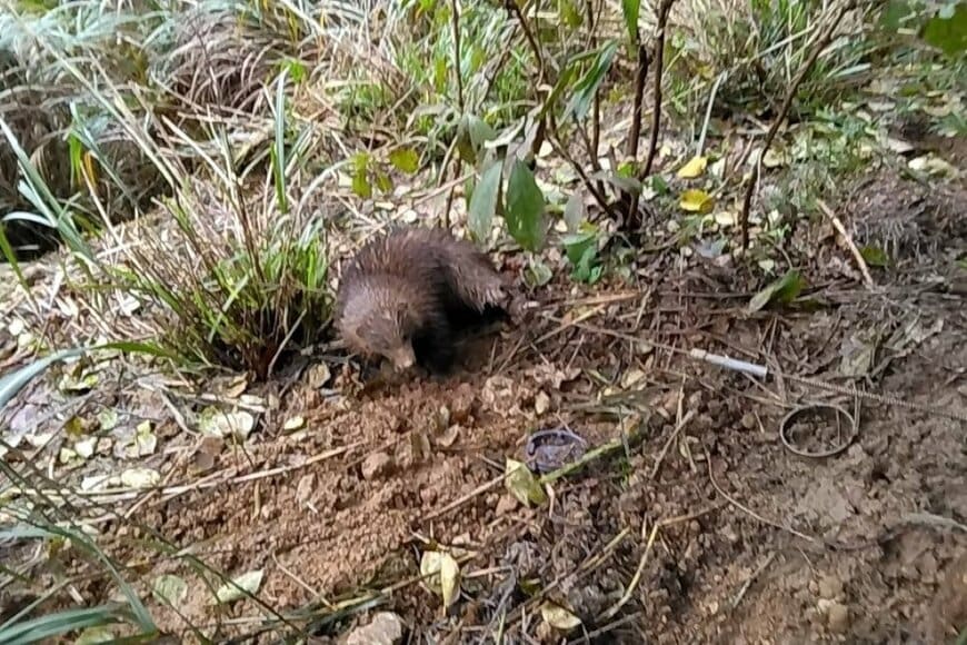 出所：@varied4203