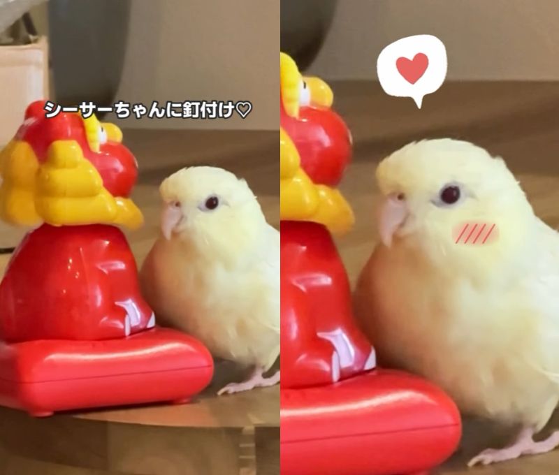 出所：@daiinkoteikoku_soraoto