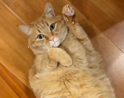 出所：@kagisuzu0531