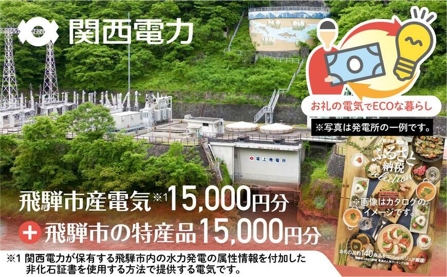 出所：ふるさとチョイス ふるさとECOプラン from 飛騨市　水と森ゆたかな岐阜県飛騨市産のCO2フリーの電気と飛騨市の特産品カタログ