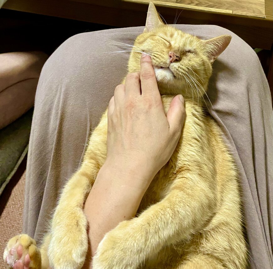 出所：@luna7taka9