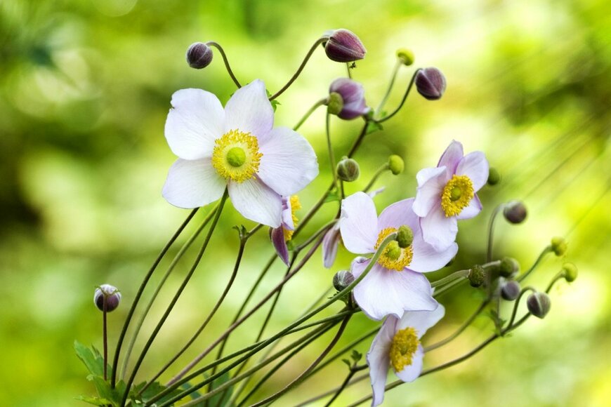 Dora Zett/shutterstock.com