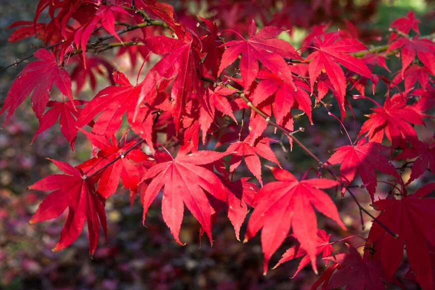 Will Perrett/shutterstock.com