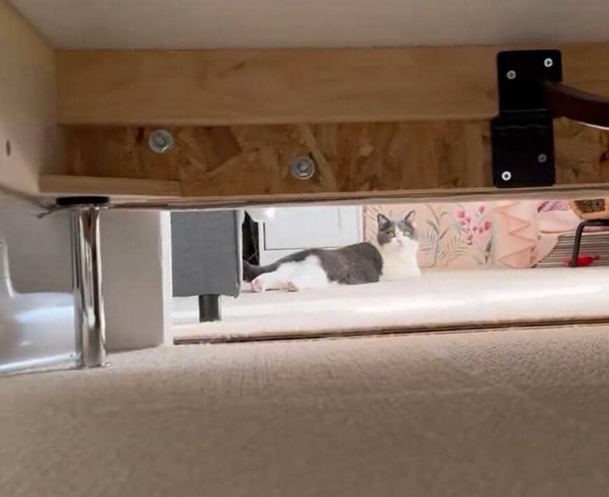 出所：@omochiomoching