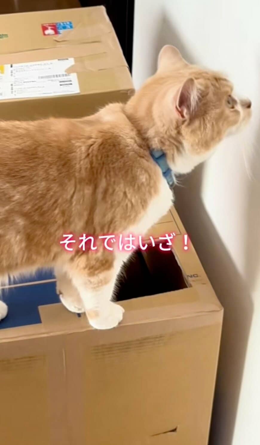 出所：@sorakai0905