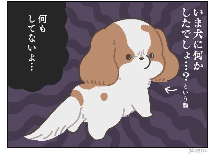 何もしてないよ…？ちょっと理不尽な愛犬描いた漫画に共感の声