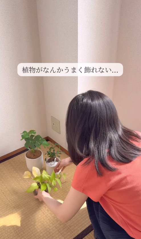 【築35年アパートDIY】観葉植物をセンス良く飾って高見え空間に大変身！「なんかイマイチ…？」を見事に解決！