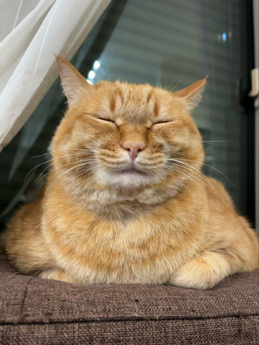 出所：@kagisuzu0531