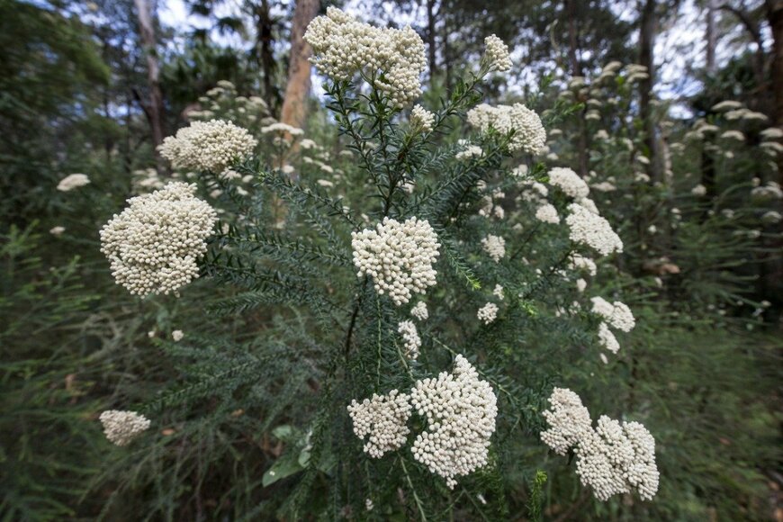 Ken Griffiths/istockphoto.com