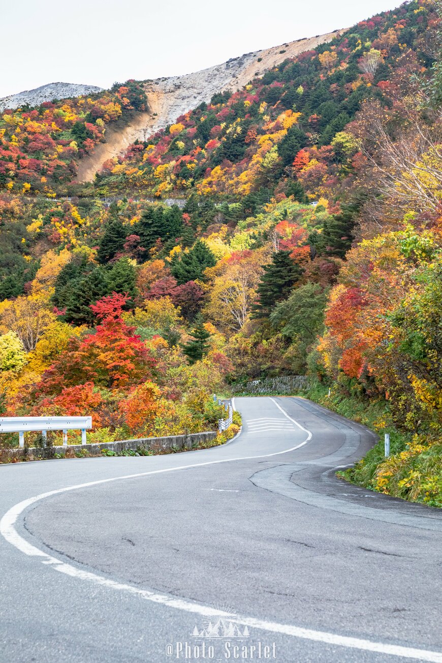 出所：@Photo_Scarlet