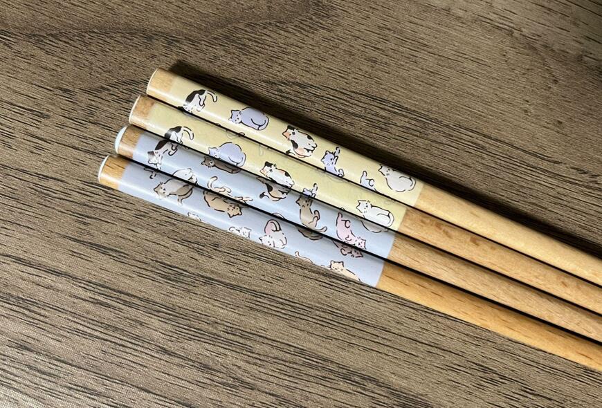 筆者撮影（セリア、塗箸 18cm ペールキャット）