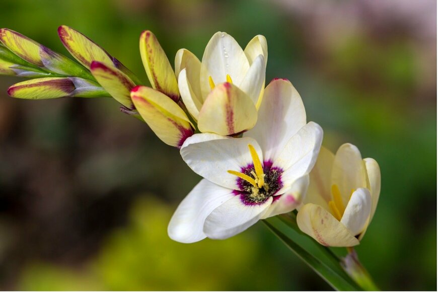 Esin Deniz/istockphoto.com