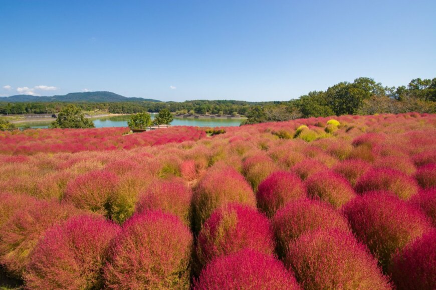 TakaH/shutterstock.com