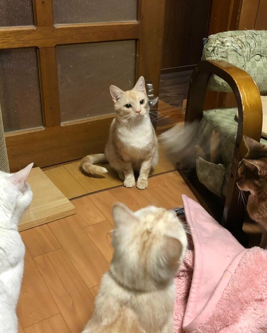 出所：@mimitti0930