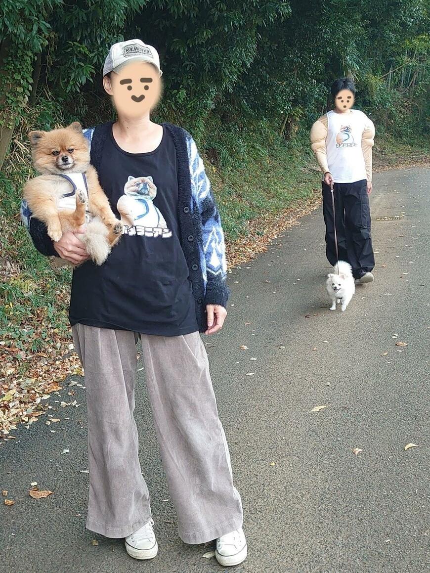 出所：@harepiyopiyo