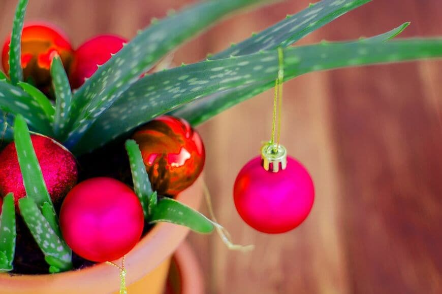 Victoria Kurylo/shutterstock.com