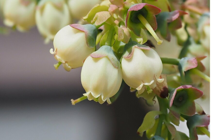 yanjf/istockphoto.com