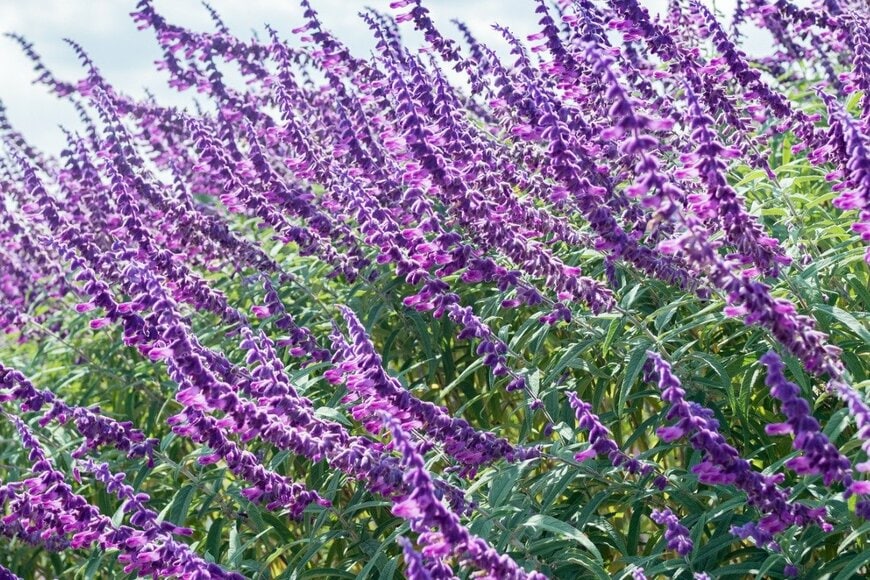 kaorinne/istockphoto.com