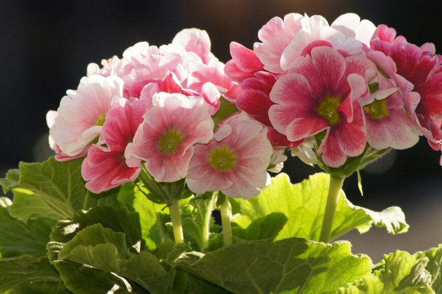 Denise Hasse/istockphoto.com