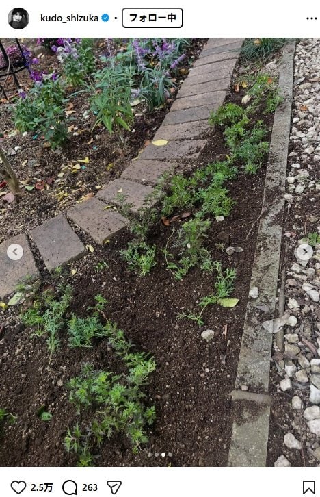 出所：工藤静香のInstagram（＠kudo_shizuka）参照日：2025年11月10日