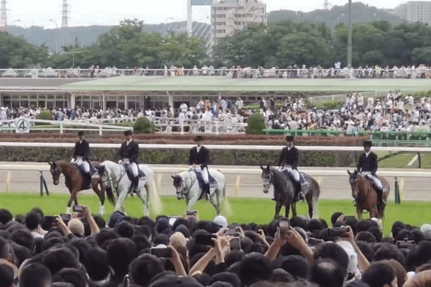 東京競馬場の誘導馬が拍手で驚く姿に注目集まる　競馬ファンからは「貴重な動画」との声