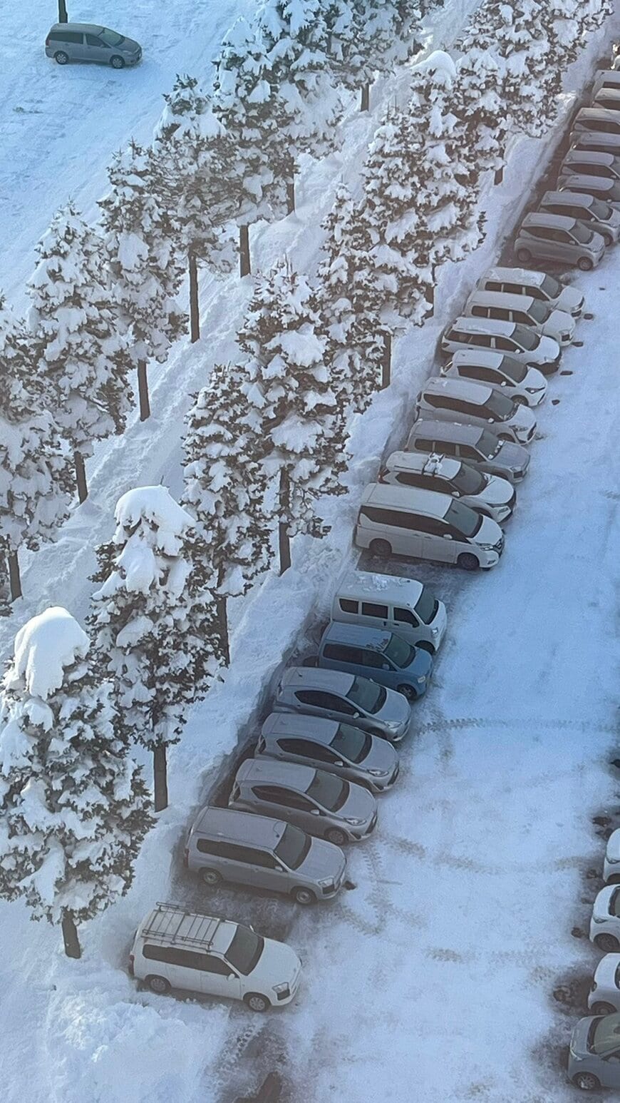 除雪後の駐車場