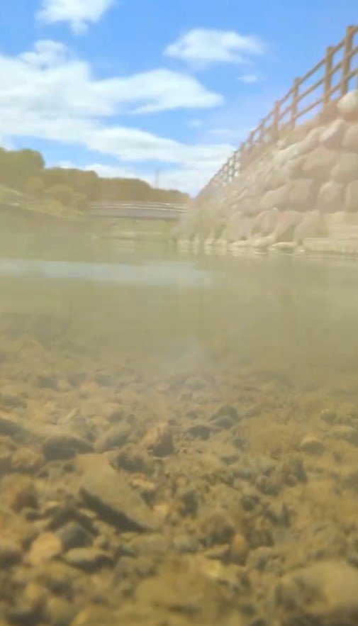 多摩市の川で撮影