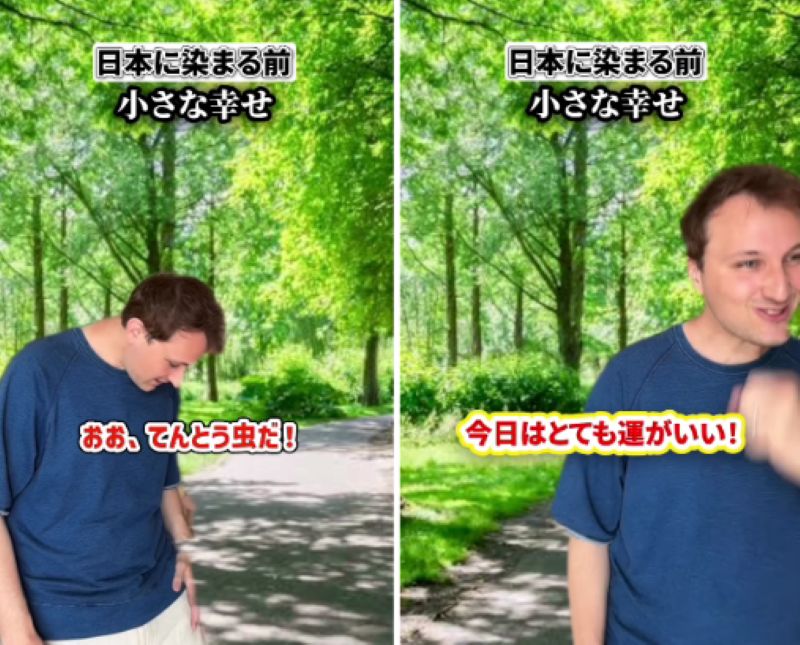 投稿動画のワンシーン