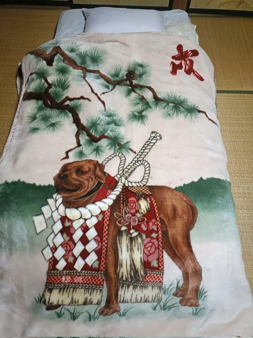 滞在先で発見した毛布