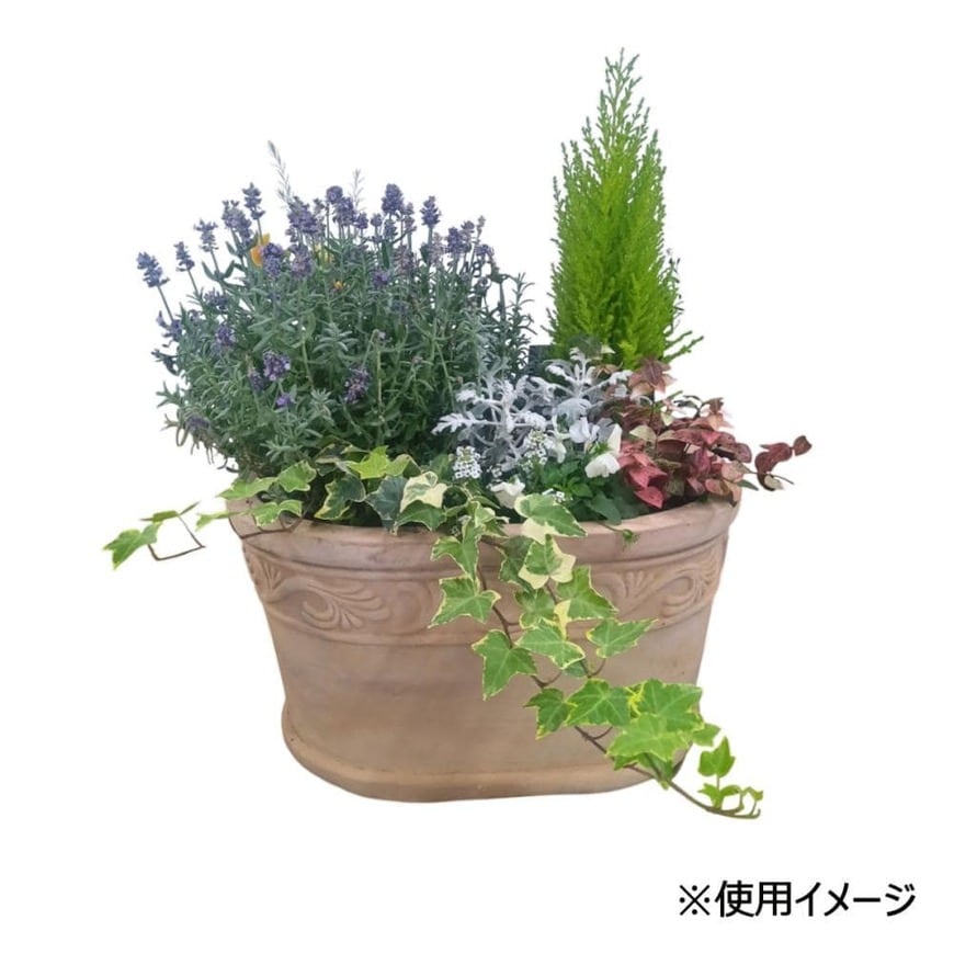 出所：ホームセンター通販コメリドットコム　Breezy Green　アンティーク調テラコッタ鉢　フルア　30cm　OV