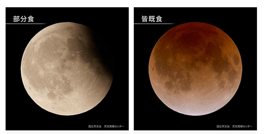 皆既食と部分食