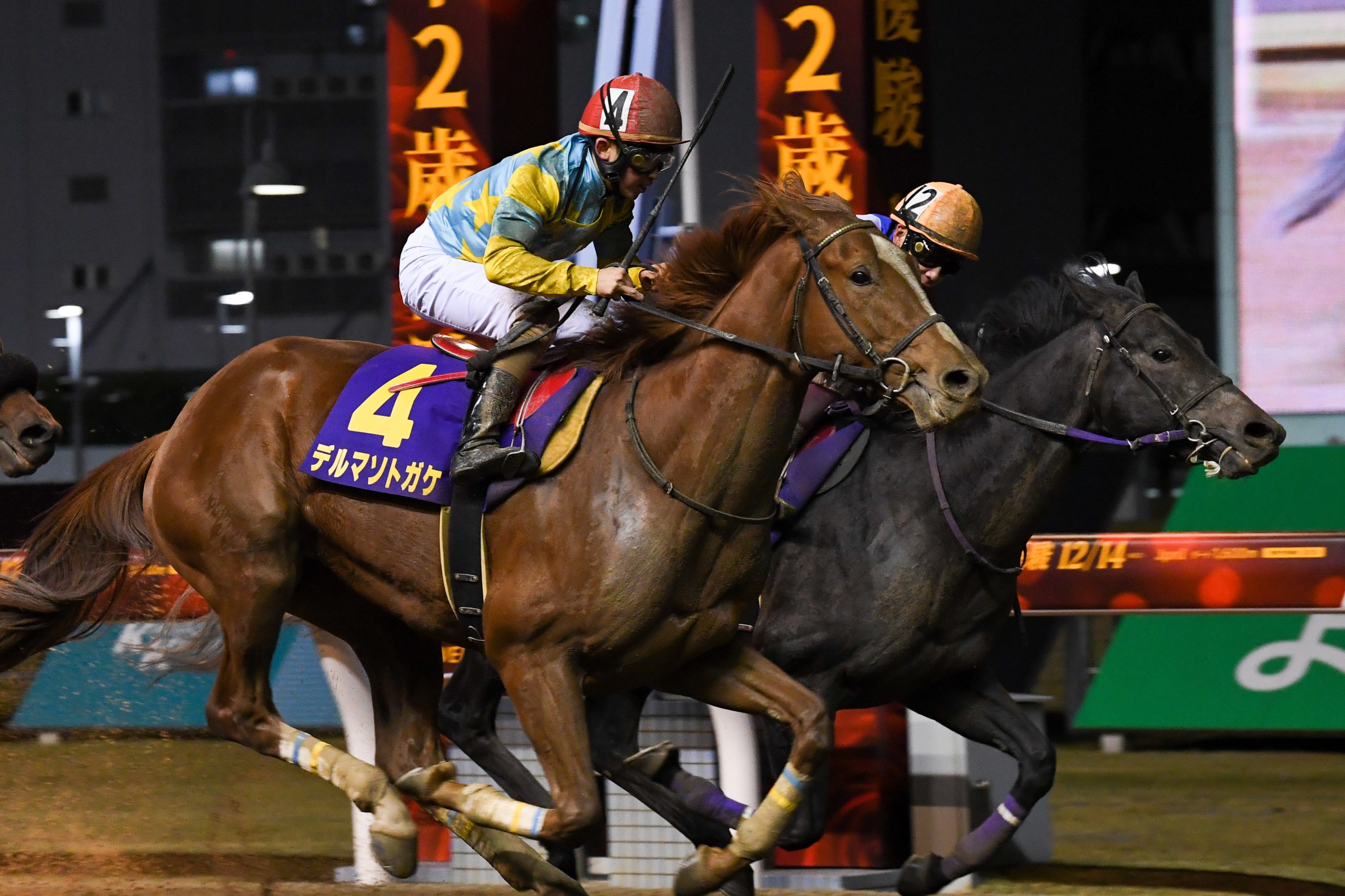 【地方競馬】売上げ14億5741万円を記録した「全日本2歳優駿 