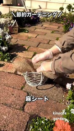 【節約ガーデニング】いらなくなった「不用品のカゴ」→素敵な「ビオラのプランター」に変身！初心者OKの簡単リメイク術！