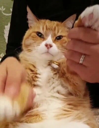 もはや感情が行方不明な表情です