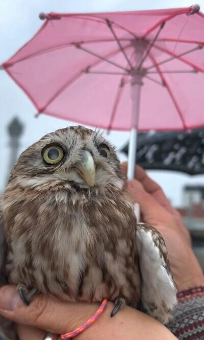 投稿動画のワンシーン