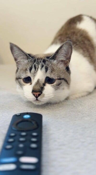 ミントちゃん
