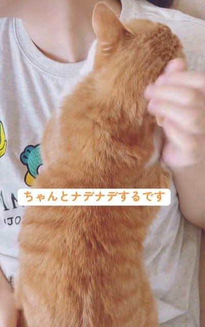 投稿動画のワンシーン