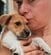 防水シートの下に隠れていた小さな子犬をレスキュー。保護先でへそ天をする愛らしい姿に安堵