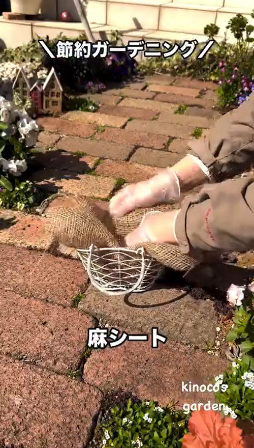 【節約ガーデニング】いらなくなった「不用品のカゴ」→素敵な「ビオラのプランター」に変身！初心者OKの簡単リメイク術！