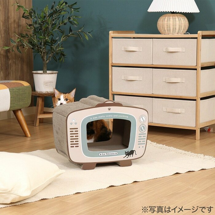 見た目が可愛いだけではありません。猫が喜ぶ機能も完備