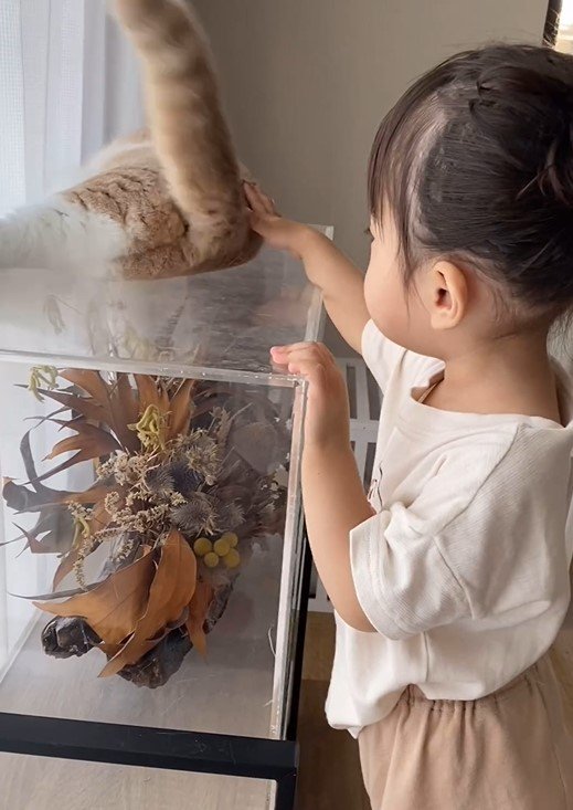 出所：@chanmaro1125