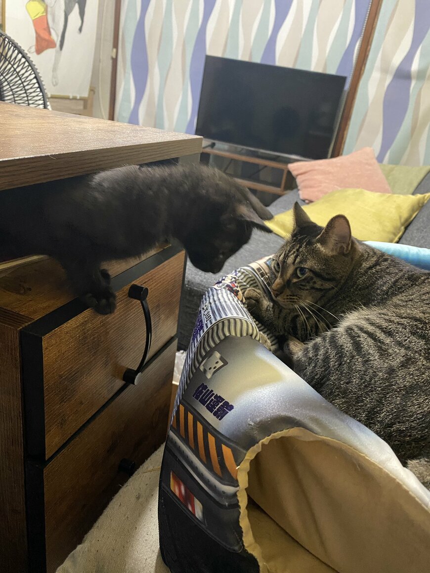 出所：@00shitemita