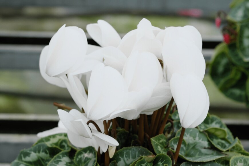 stoickt/istockphoto.com